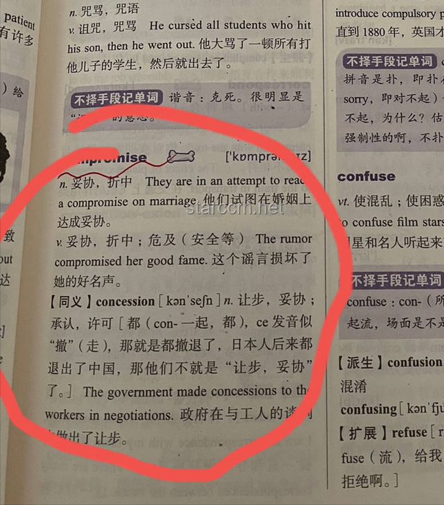 考研名师刘晓艳学历风波：真相揭秘与启示
