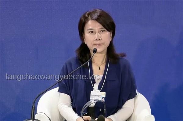 孟羽童与董明珠微信互动：职场人际网络的微妙与机遇