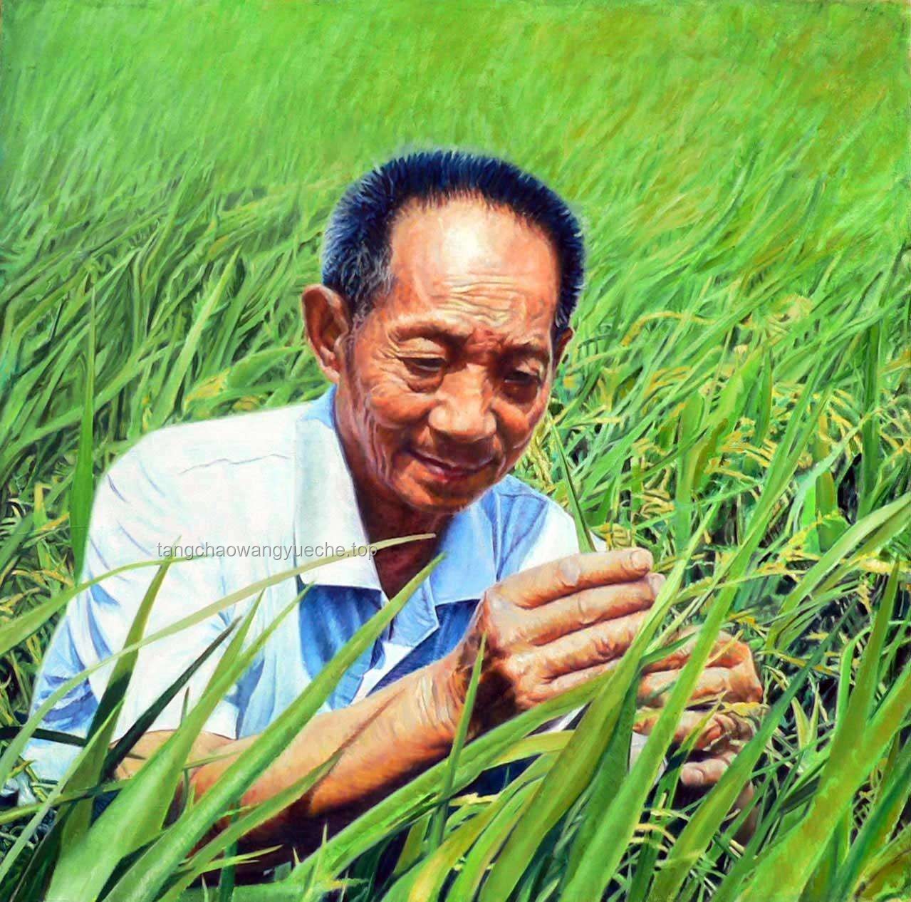 “禾下乘凉梦”的传承与实践：缅怀与致敬袁隆平爷爷
