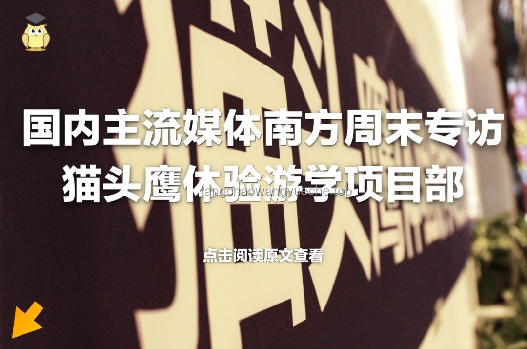 替我在宿舍自由：解锁你的大学生活新姿势