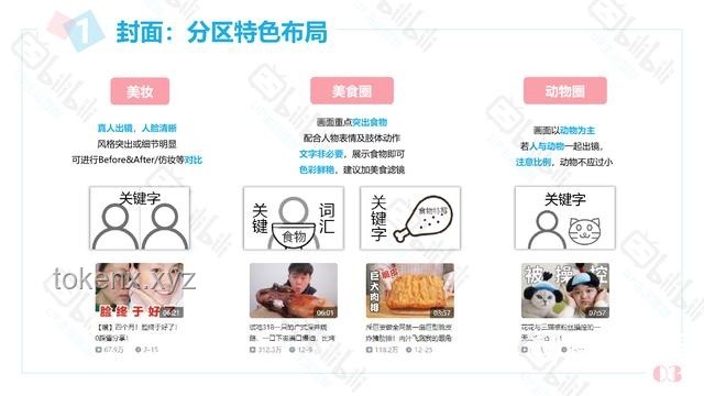 突袭！毕业5年的UP主内容创作与专业知识留存洞察