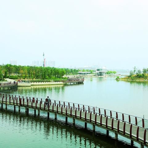 5A景区VS商场小火车：家庭娱乐选择背后的原因剖析
