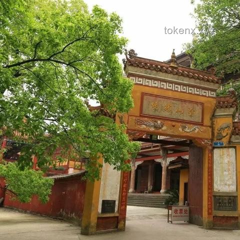 白象宣布多半系列产品更名：背后的市场考量与策略调整