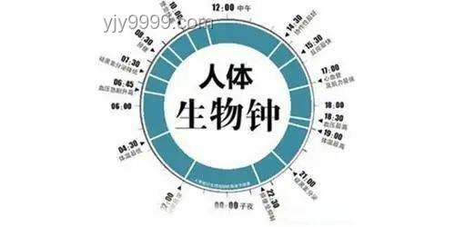早起影响一日状态：科学验证与行业洞察