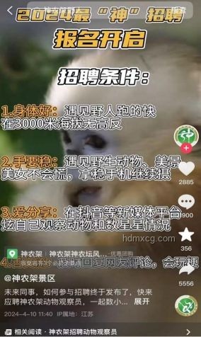 神农架景区招聘“野人”兼职，日薪500元真相揭秘