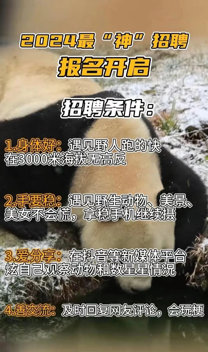 神农架景区招聘“野人”兼职，日薪500元真相揭秘