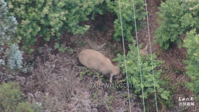 3人吃烧烤消费780元，如何避免商家违规收费及维权指南