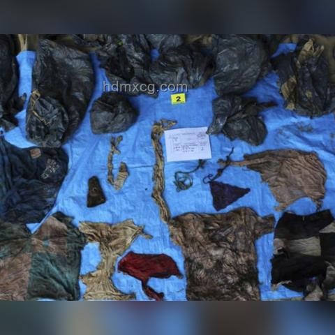 美国13具尸体案：连环杀手作案猜想的对比分析