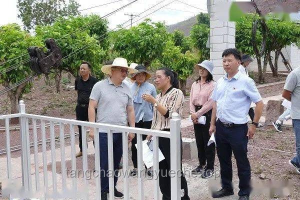 特朗普式防摔指南：安全登机小技巧
