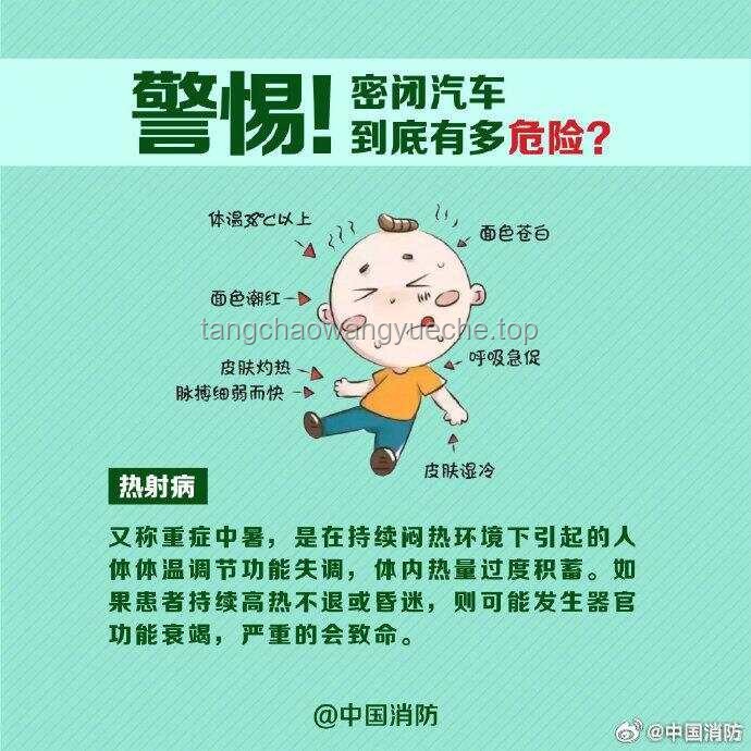 今年第1号台风“蝴蝶”来袭，我的应对与感悟🌀