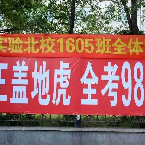 双胞胎考场外跪谢爷爷：家庭教育与感恩文化的深度剖析