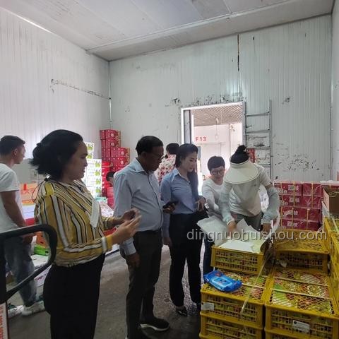 暴跌的榴莲：价格变动与品质差异的深度对比分析
