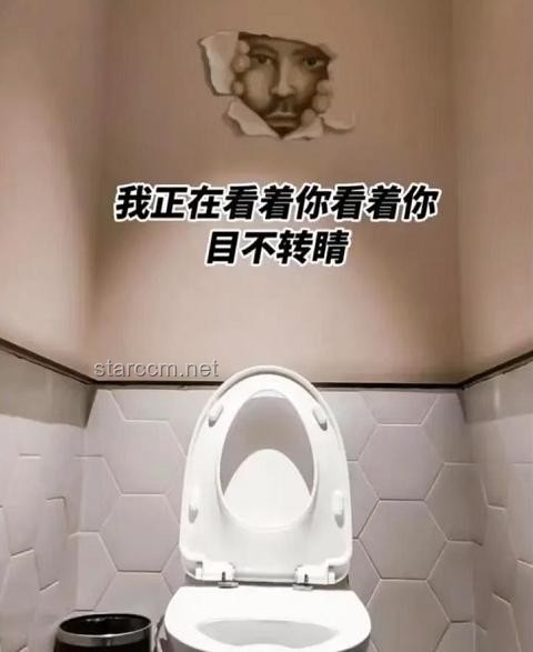 千万网红发声：取消女厕马桶？公共卫生新探讨