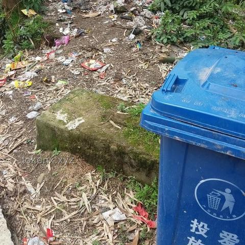 中国的垃圾真不够烧了吗？焚烧垃圾的好处与背后利益
