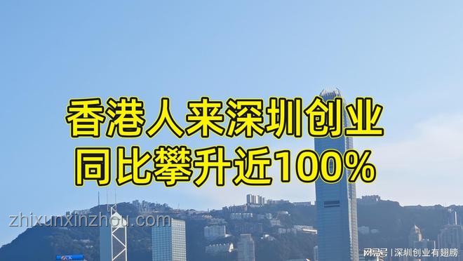 500万梦想启航：财富自由下的创新离职哲学